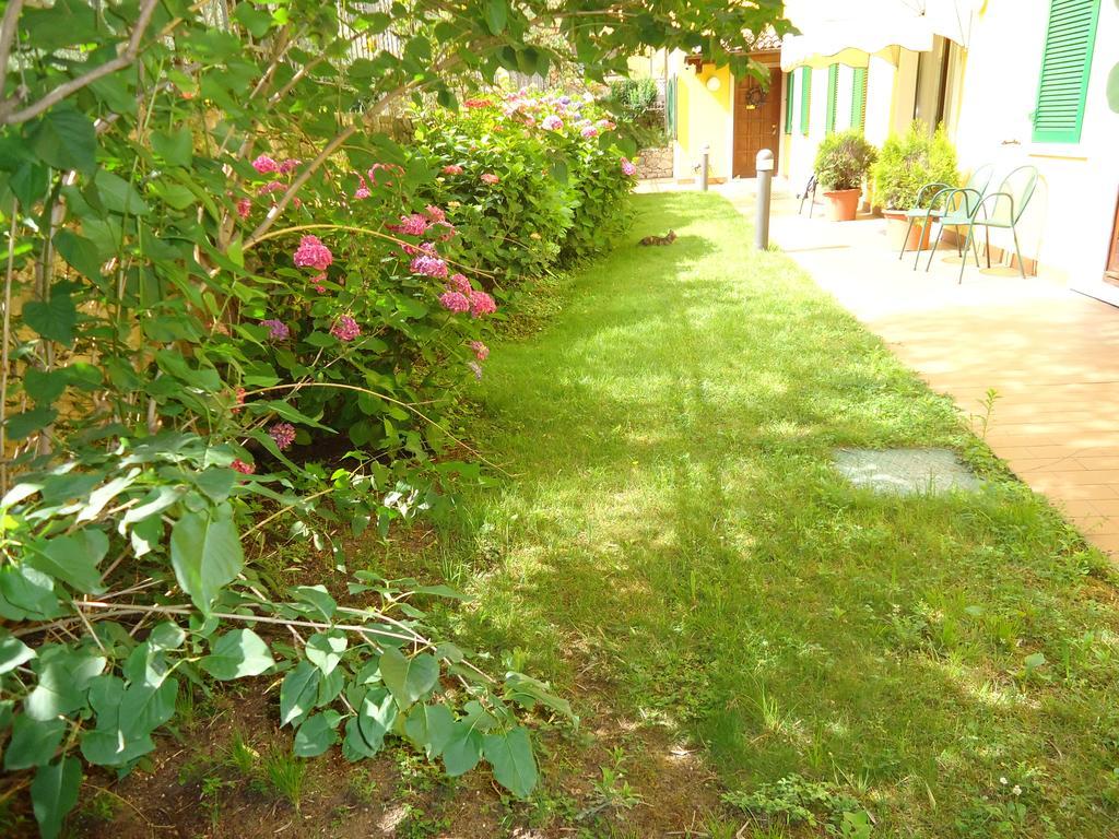 מאלצ'סינה Residence Il Cedro מראה חיצוני תמונה