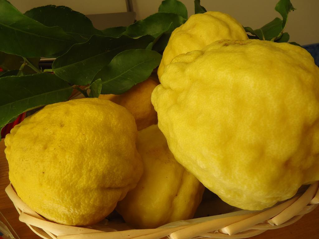 מאלצ'סינה Residence Il Cedro מראה חיצוני תמונה