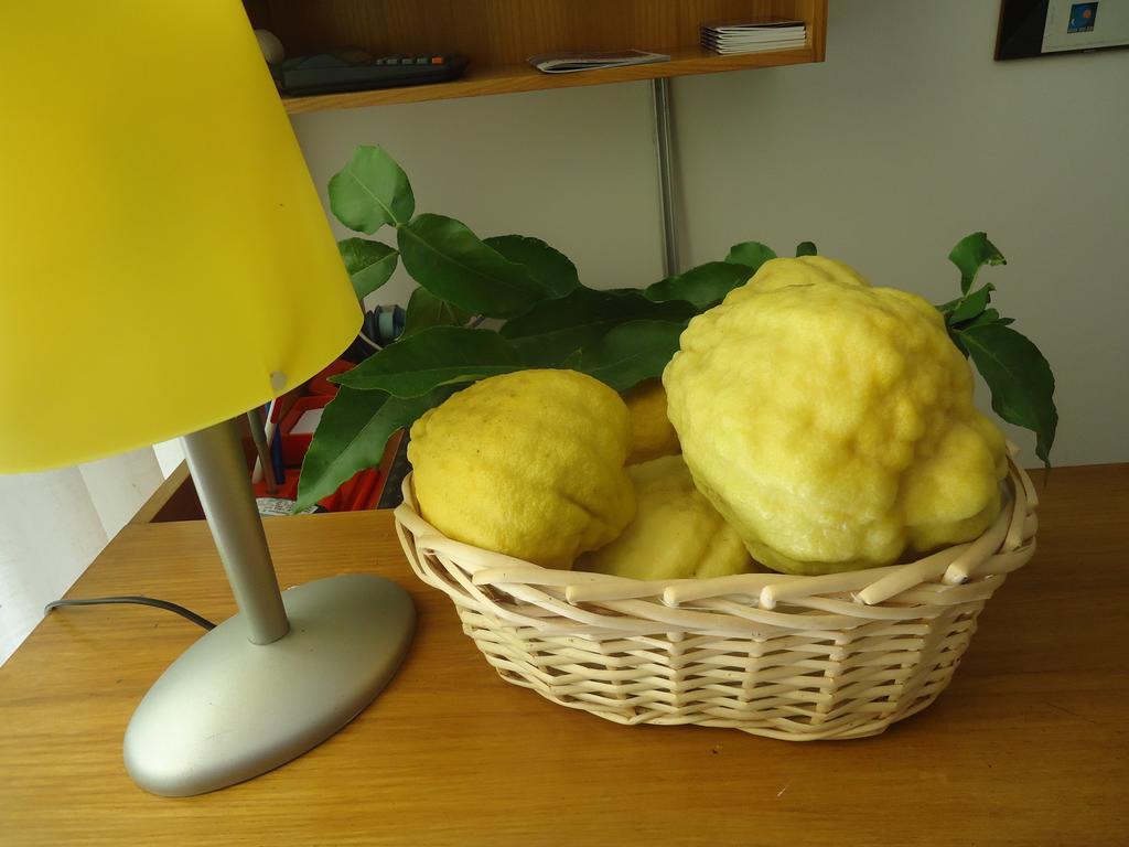 מאלצ'סינה Residence Il Cedro מראה חיצוני תמונה