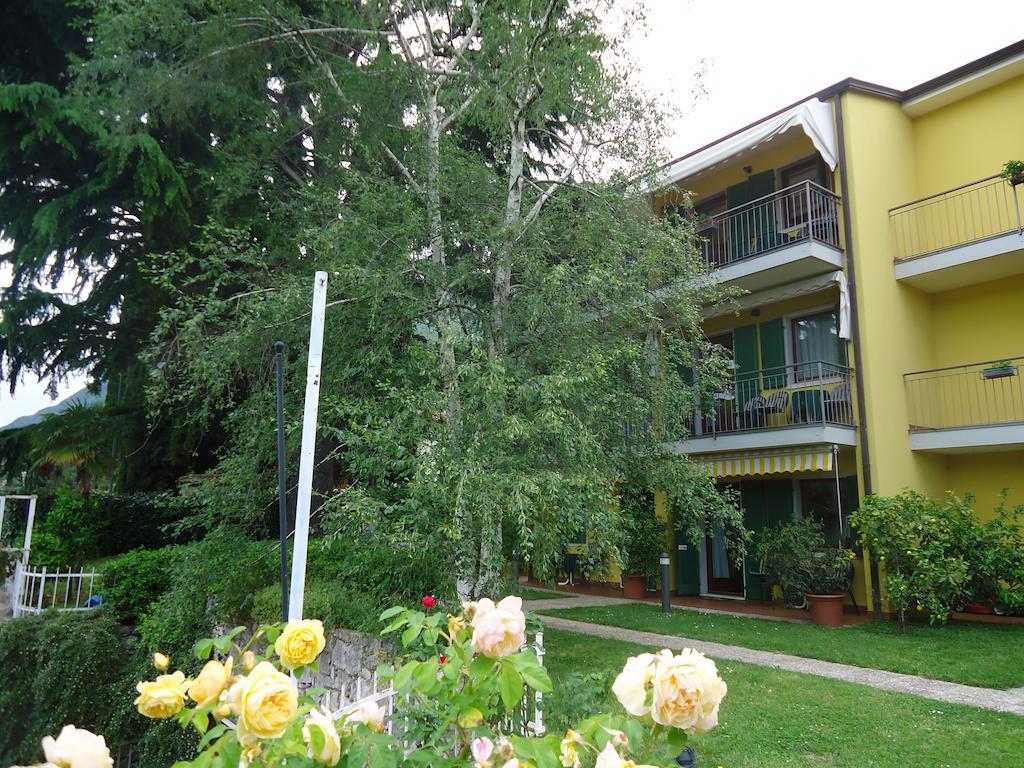 מאלצ'סינה Residence Il Cedro מראה חיצוני תמונה